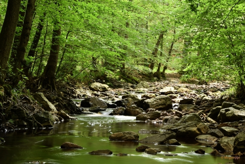 bdDSC_0349a.JPG - La Hoegne Ardennen