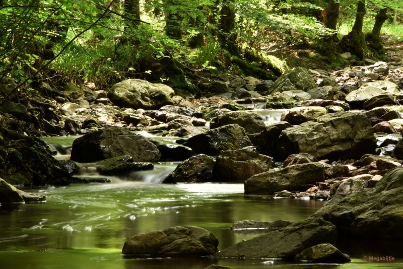 bdDSC_0361a.JPG - La Hoegne Ardennen