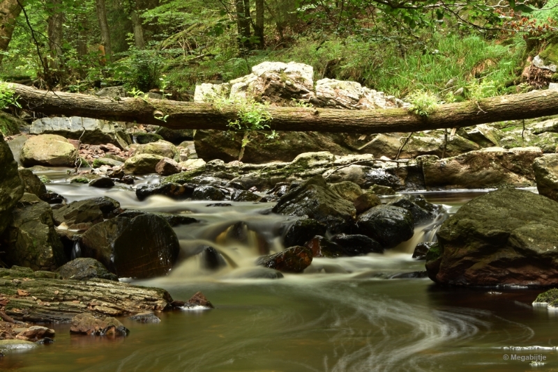 bdDSC_0364a.JPG - La Hoegne Ardennen