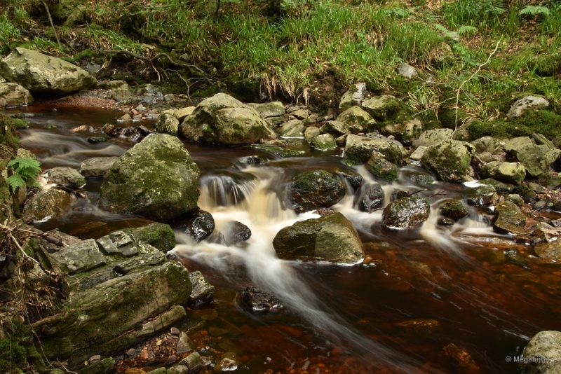 bdDSC_0370a.JPG - La Hoegne Ardennen