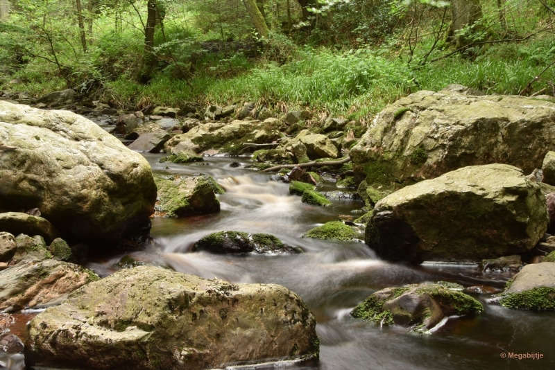 bdDSC_0378.JPG - La Hoegne Ardennen