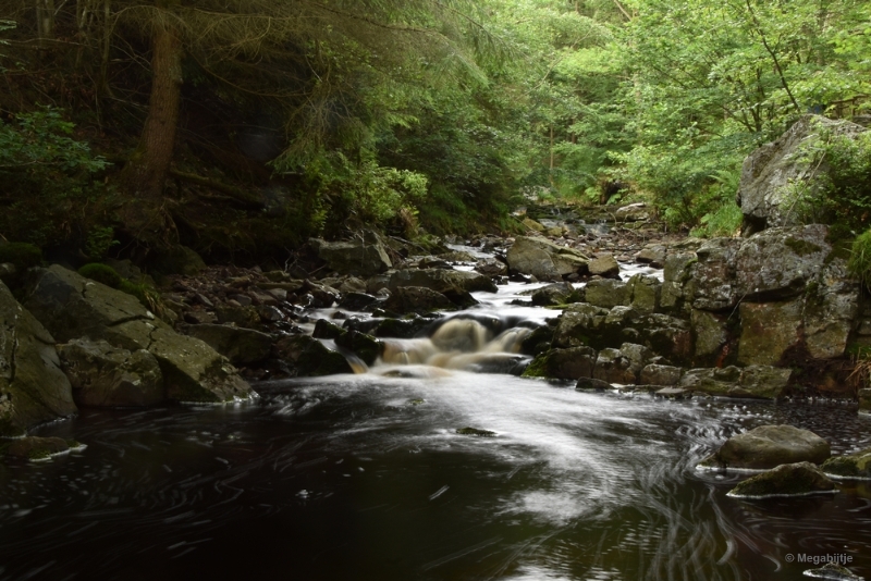 bdDSC_0379.JPG - La Hoegne Ardennen