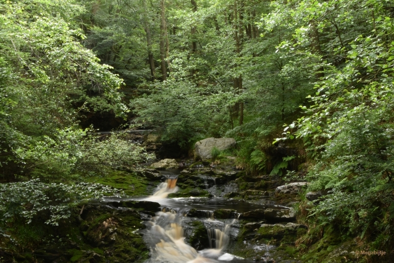 bdDSC_0397.JPG - La Hoegne Ardennen