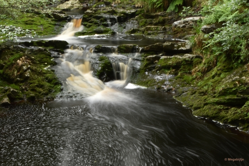 bdDSC_0398.JPG - La Hoegne Ardennen