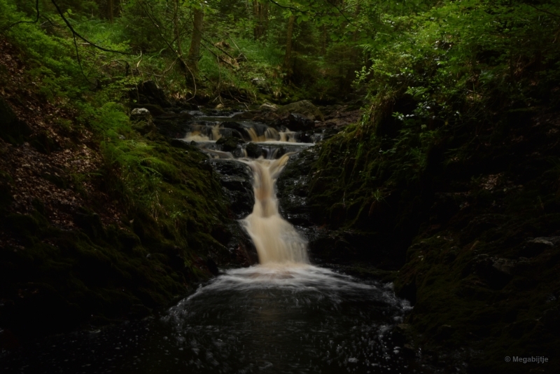 bdDSC_0407.JPG - La Hoegne Ardennen