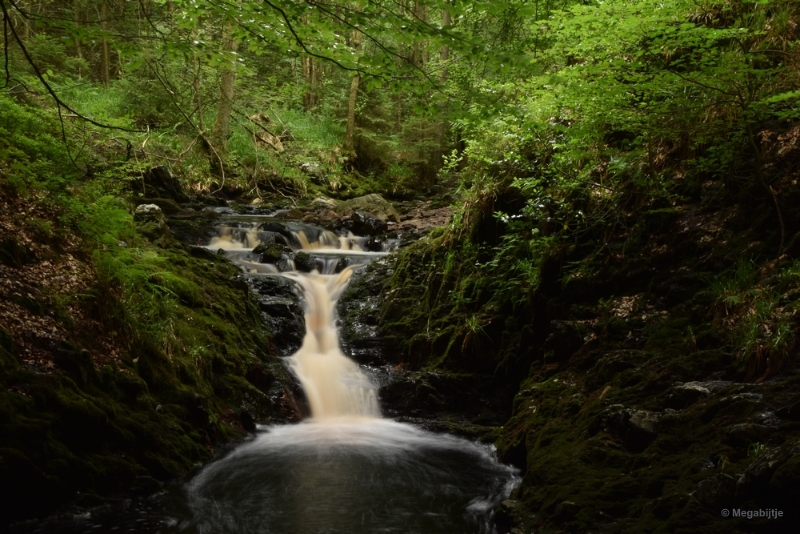 bdDSC_0409.JPG - La Hoegne Ardennen