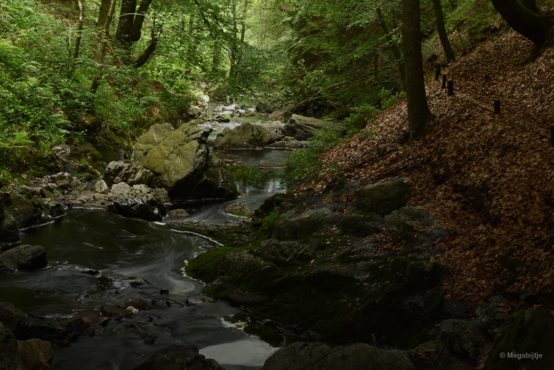 bdDSC_0411.JPG - La Hoegne Ardennen