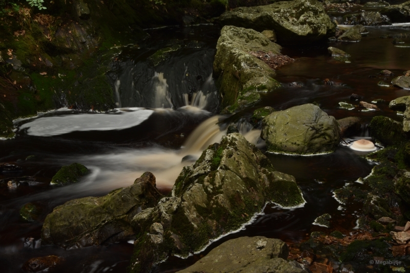 bdDSC_0413.JPG - La Hoegne Ardennen