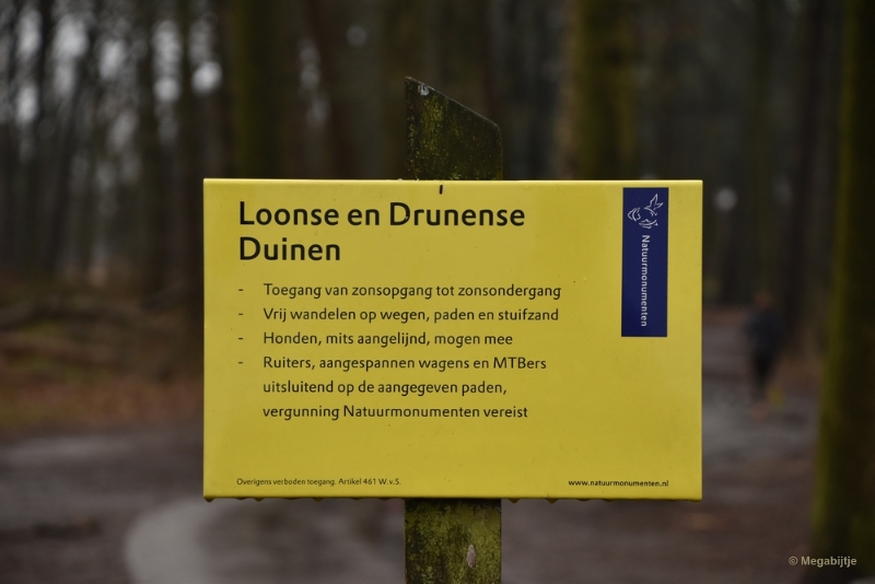 bdDSC_8110.JPG - Loonse en Drunense duinen 2018