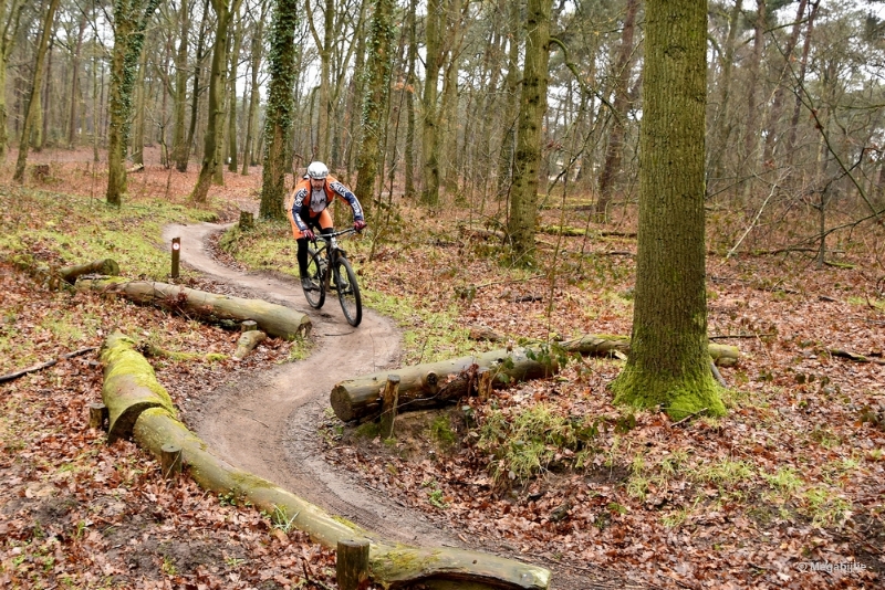 bdDSC_8123.JPG - Loonse en Drunense duinen 2018