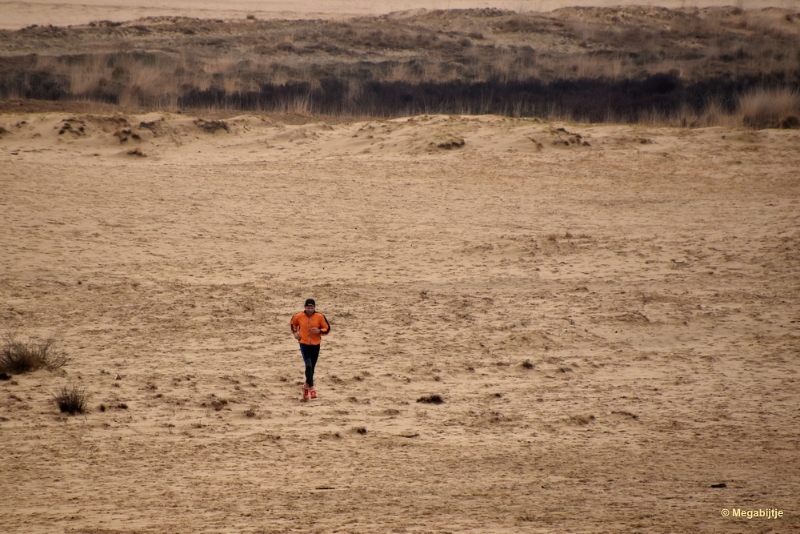 bdDSC_8137.JPG - Loonse en Drunense duinen 2018