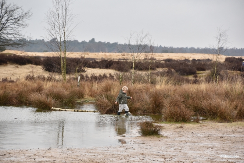 bdDSC_8195.JPG - Loonse en Drunense duinen 2018