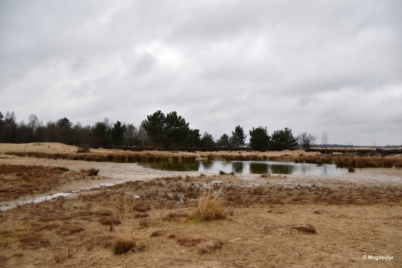 bdDSC_8202.JPG - Loonse en Drunense duinen 2018