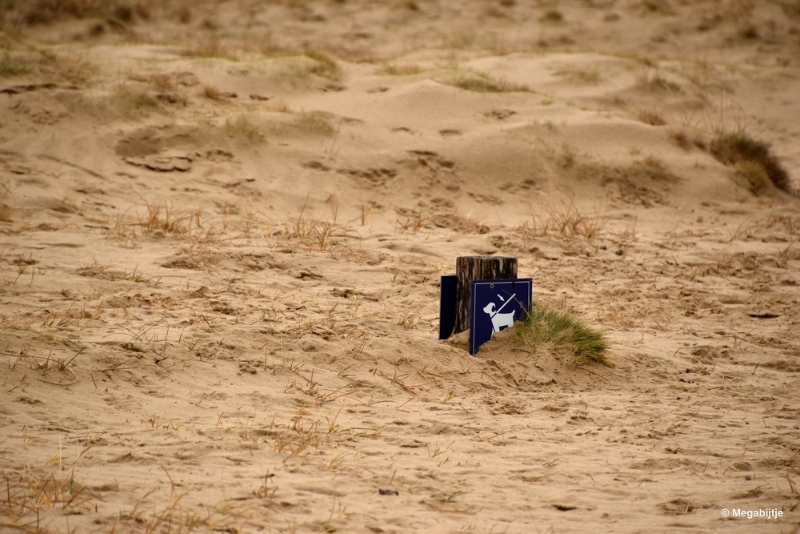 bdDSC_8212.JPG - Loonse en Drunense duinen 2018