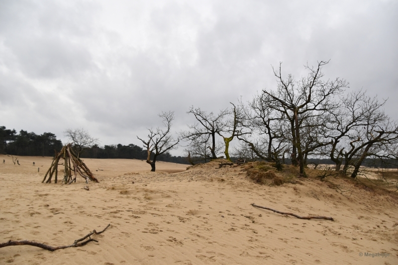 bdDSC_8239.JPG - Loonse en Drunense duinen 2018