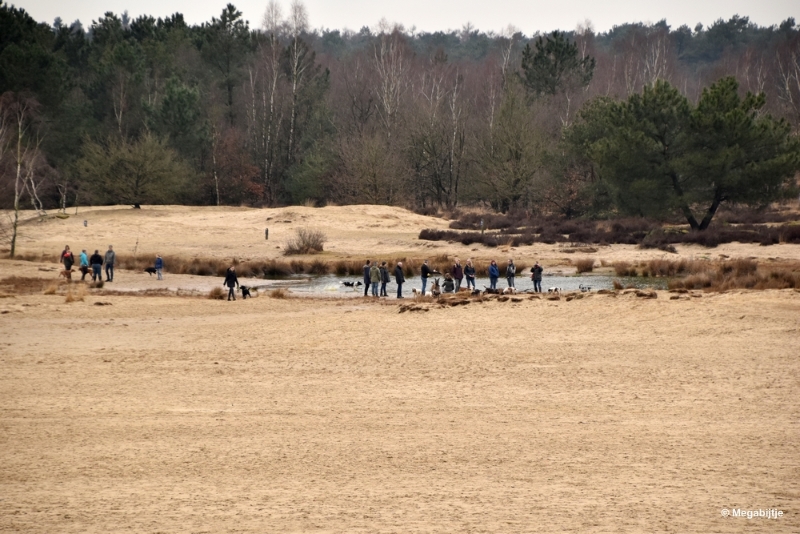 bdDSC_8262.JPG - Loonse en Drunense duinen 2018