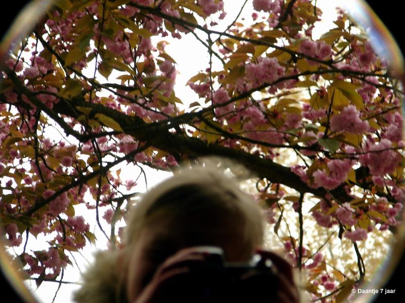 bdDSC00462.JPG - Foto's Daantje 7 jaar in Japanse tuin Hasselt 2019