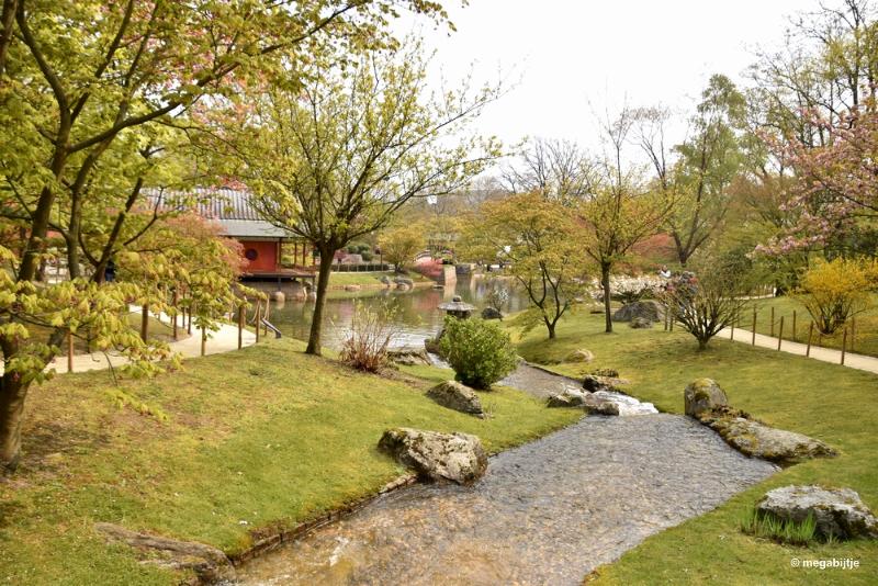 bdaDSC_5958.JPG - Japanse tuin Hasselt 2019