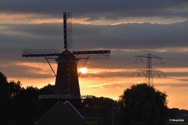 bdDSC_0060.JPG - Molenplas maasvallei 2019