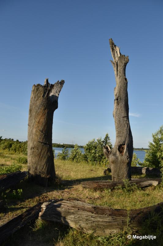 bdDSC_9875.JPG - Molenplas maasvallei 2019