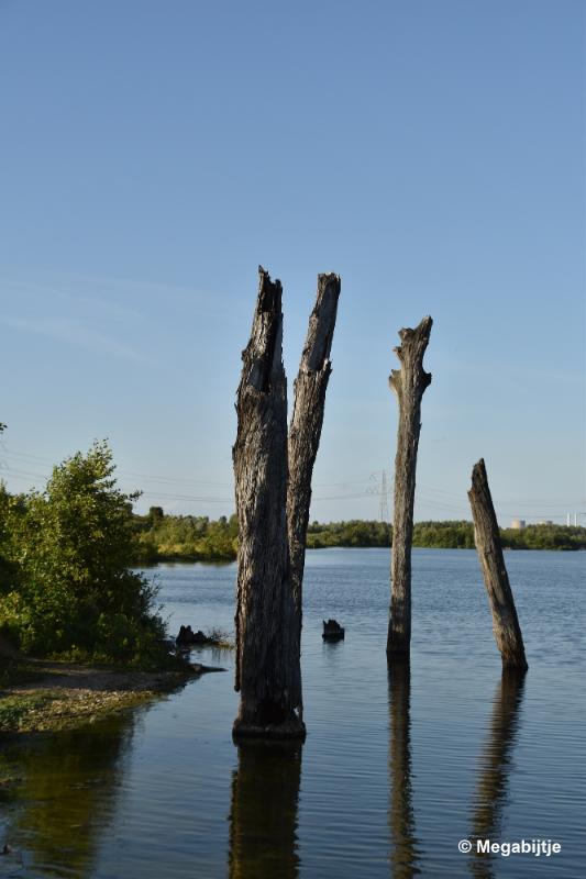 bdDSC_9884.JPG - Molenplas maasvallei 2019