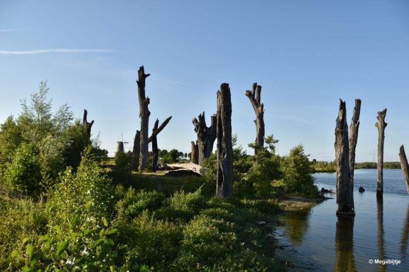 bdDSC_9887.JPG - Molenplas maasvallei 2019