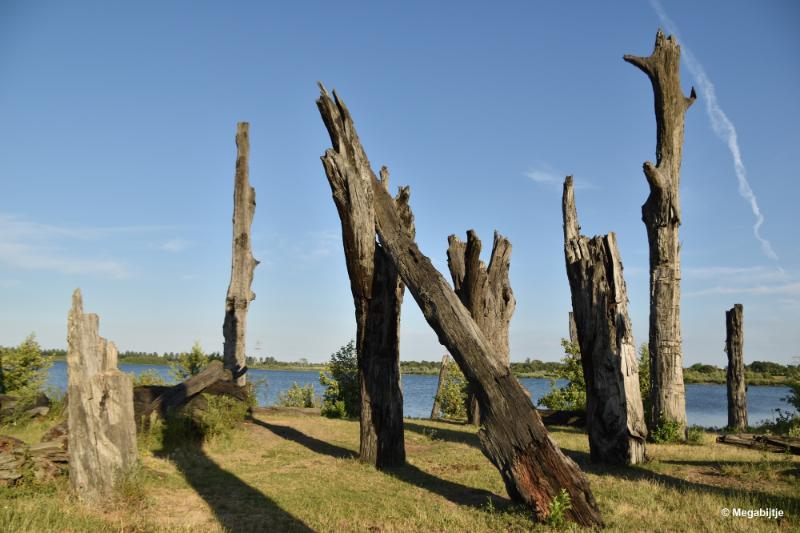 bdDSC_9890.JPG - Molenplas maasvallei 2019