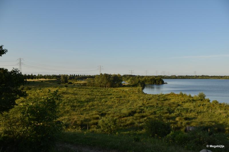 bdDSC_9925.JPG - Molenplas maasvallei 2019