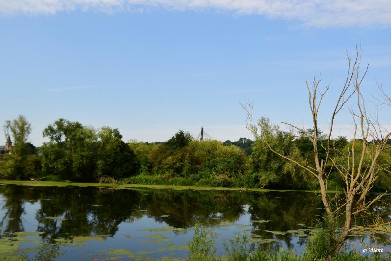 bdaDSC_0872.JPG - Eijsden Beemde 2020