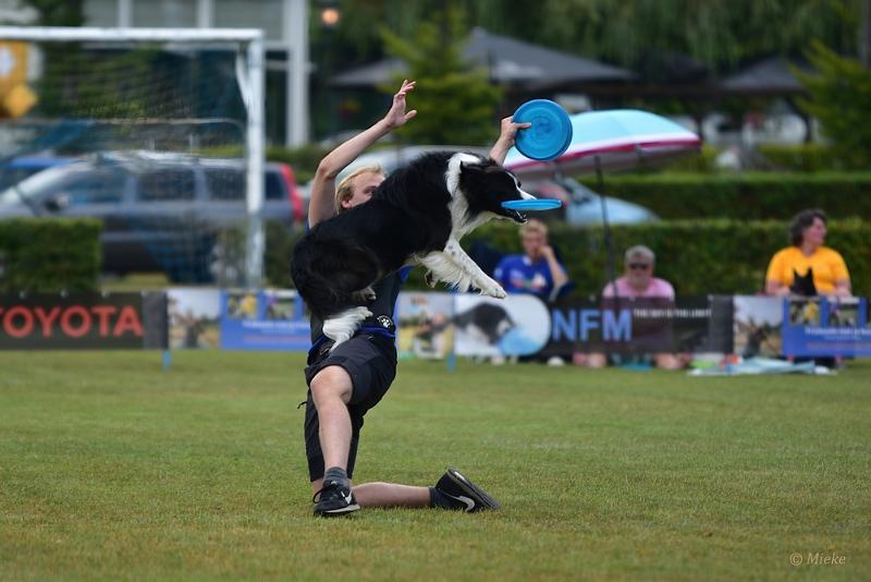bdfrisbeedogs 2022 40.JPG - Amazing Frisbeedogs 2022