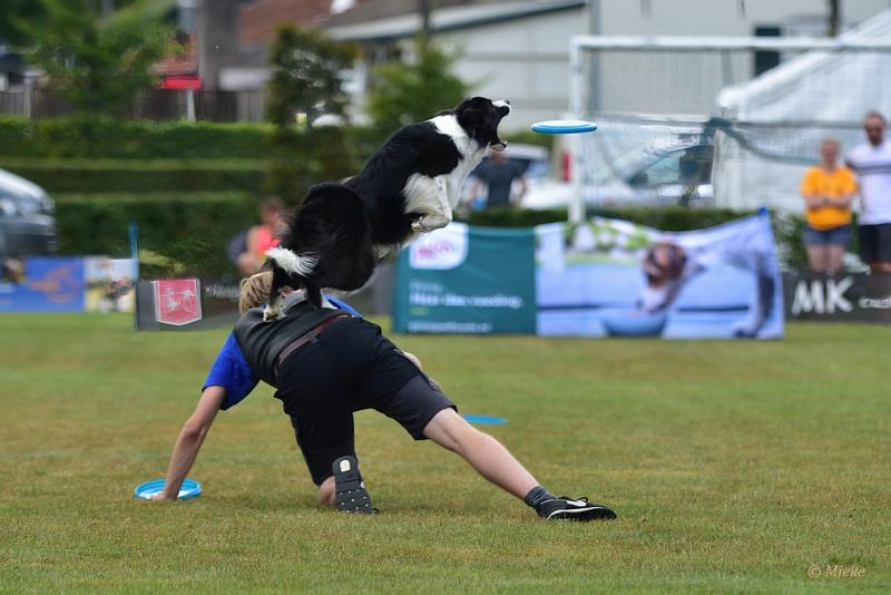 bdfrisbeedogs 2022 41.JPG - Amazing Frisbeedogs 2022