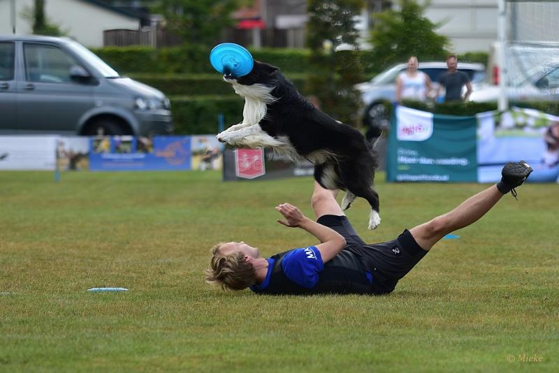 bdfrisbeedogs 2022 42.JPG - Amazing Frisbeedogs 2022