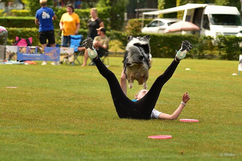 bdfrisbeedogs 2022 44.JPG - Amazing Frisbeedogs 2022