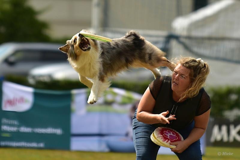 bdfrisbeedogs 2022 49.JPG - Amazing Frisbeedogs 2022
