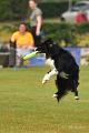 bdfrisbeedogs 2022 14