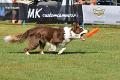 bdfrisbeedogs 2022 17
