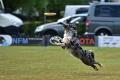 bdfrisbeedogs 2022 39