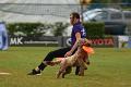 bdfrisbeedogs 2022 45