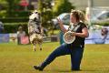 bdfrisbeedogs 2022 46