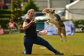 bdfrisbeedogs 2022 47