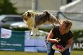 bdfrisbeedogs 2022 49