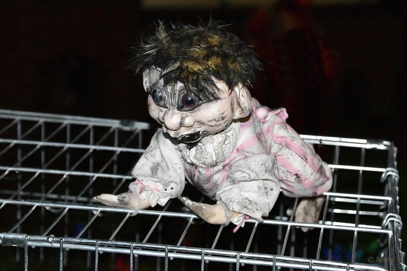 bdHalloween 2022 01.JPG - Halloween 