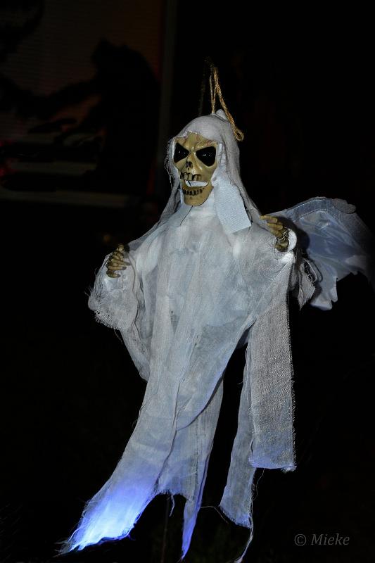bdHalloween 2022 08.JPG - Halloween 
