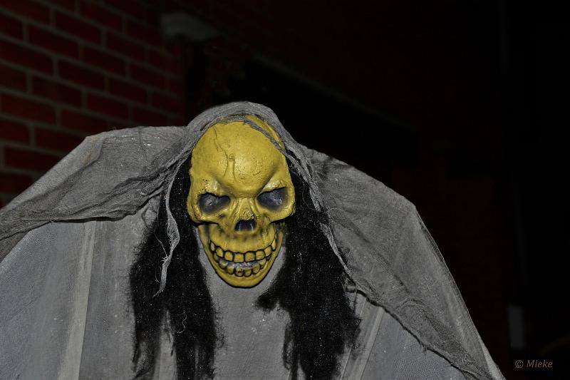 bdHalloween 2022 11.JPG - Halloween 
