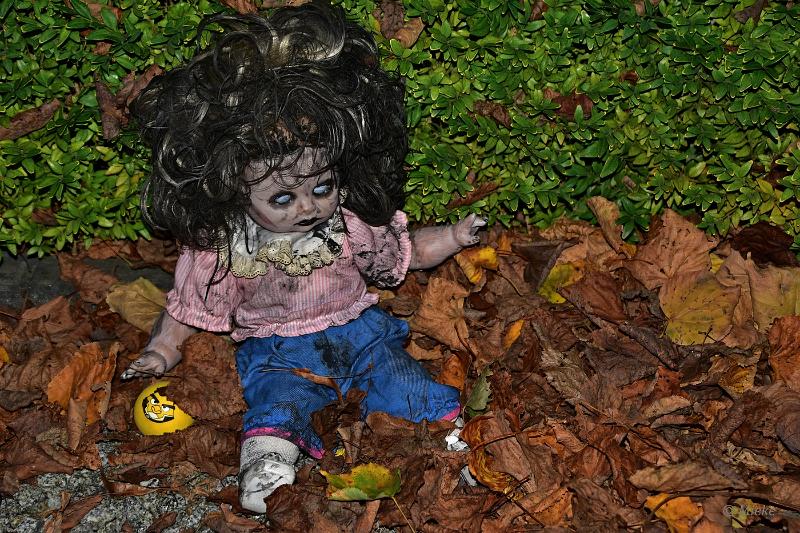 bdHalloween 2022 14.JPG - Halloween 