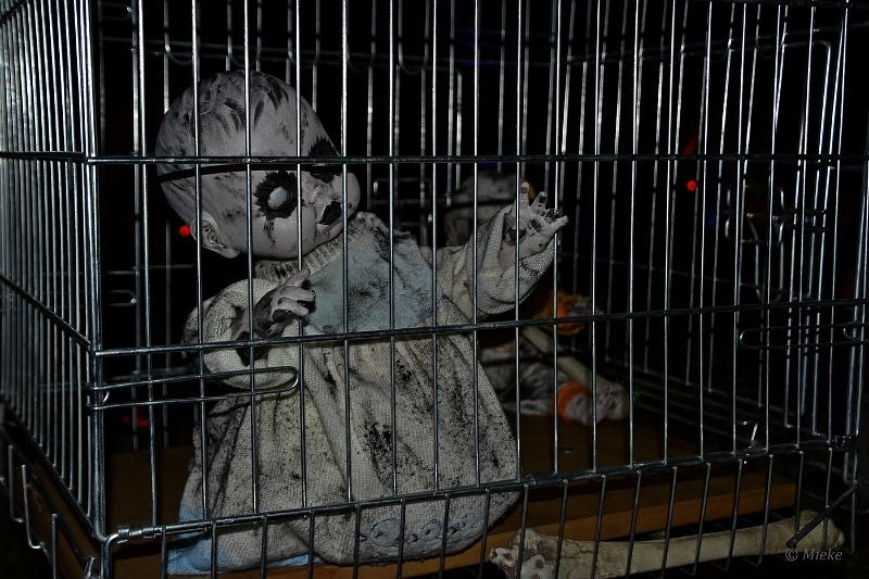 bdHalloween 2022 17.JPG - Halloween 