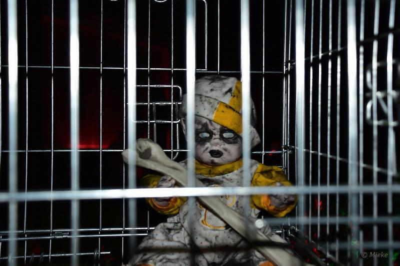 bdHalloween 2022 18.JPG - Halloween 