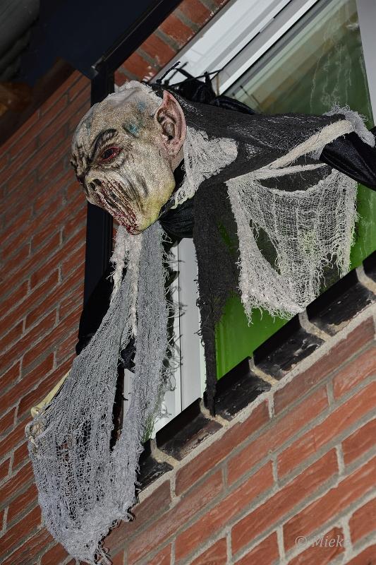 bdHalloween 2022 23.JPG - Halloween 