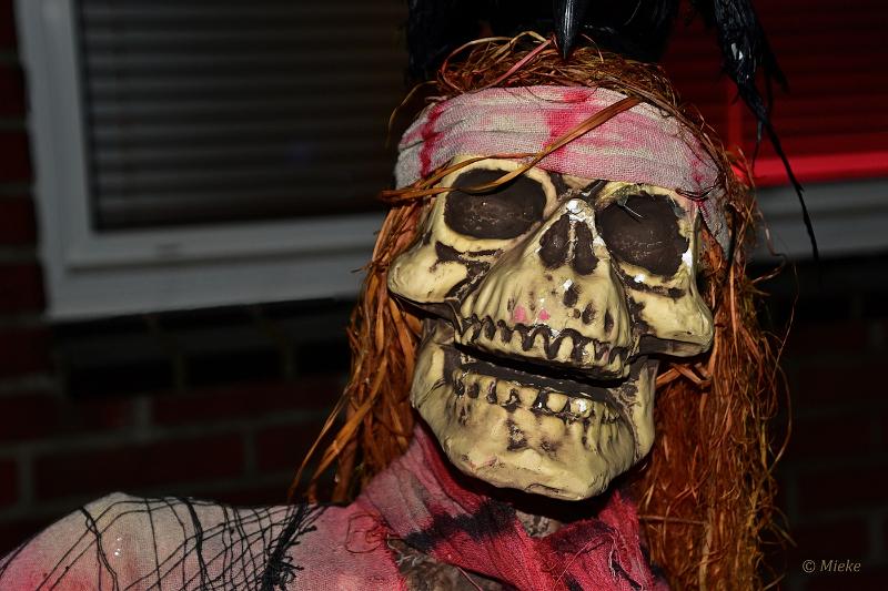 bdHalloween 2022 24.JPG - Halloween 