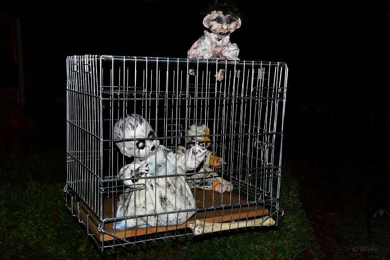 bdHalloween 2022 26.JPG - Halloween 
